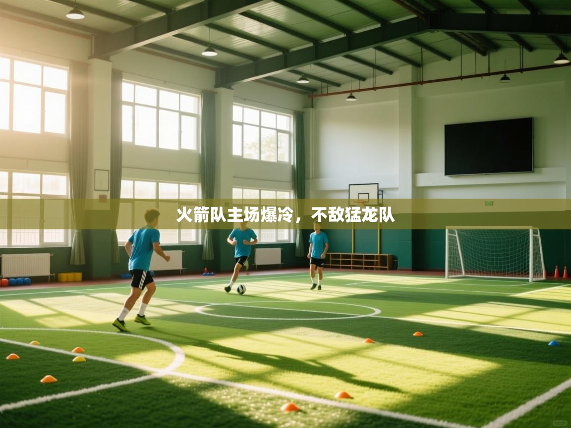 火箭队主场爆冷，不敌猛龙队